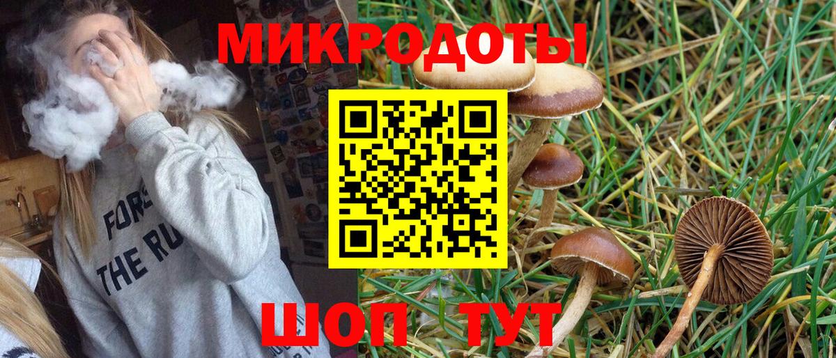 Галлюциногенные грибы Psilocybe Астрахань