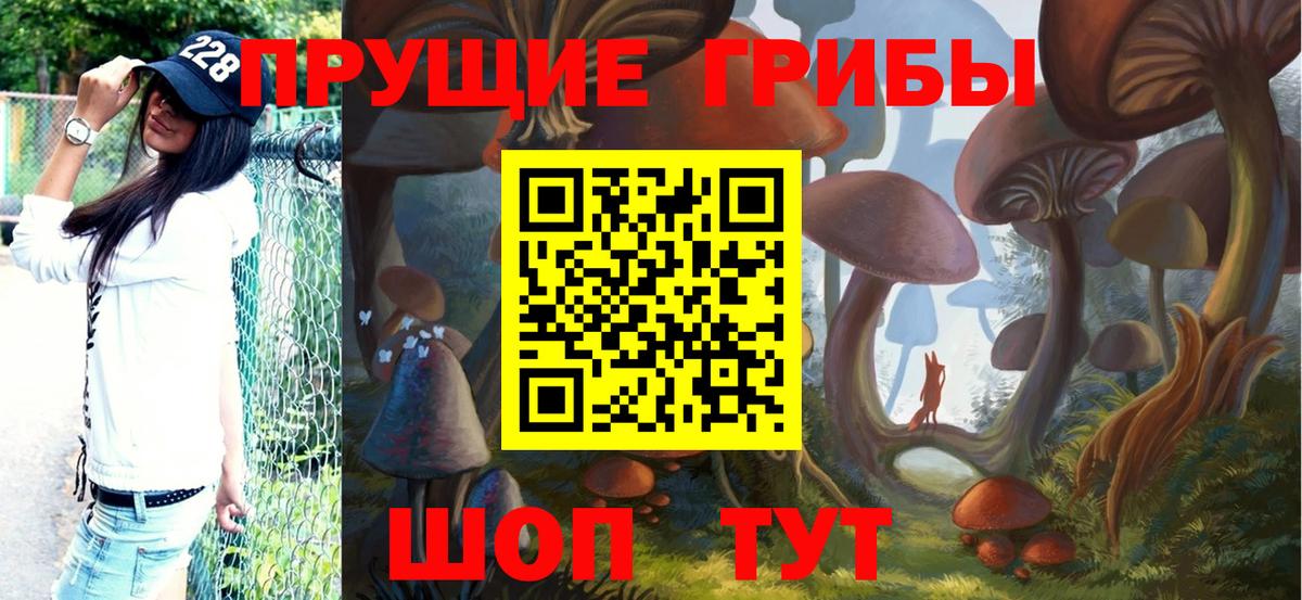 Псилоцибиновые грибы MAGIC MUSHROOMS  сколько стоит  Астрахань  Вход с VPN  Псилоцибиновые грибы Psilocybe 